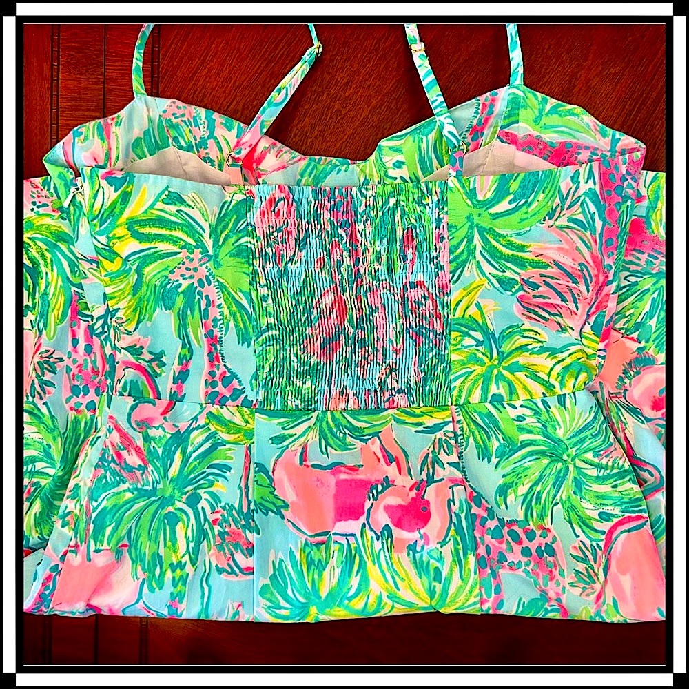 Lilly Pulitzer Dress (Brand New Never Worn) - Picture 6 of 7